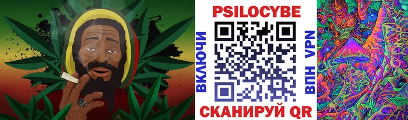 Галлюциногенные грибы прущие грибы  продажа наркотиков  Новосибирск 