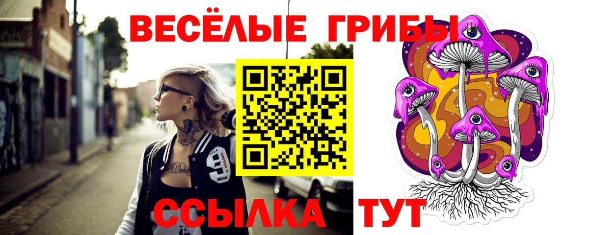Псилоцибиновые грибы Psilocybe  Вход с VPN  Новосибирск 