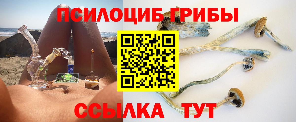 Псилоцибиновые грибы Psilocybe  Псилоцибиновые грибы MAGIC MUSHROOMS  Новосибирск 
