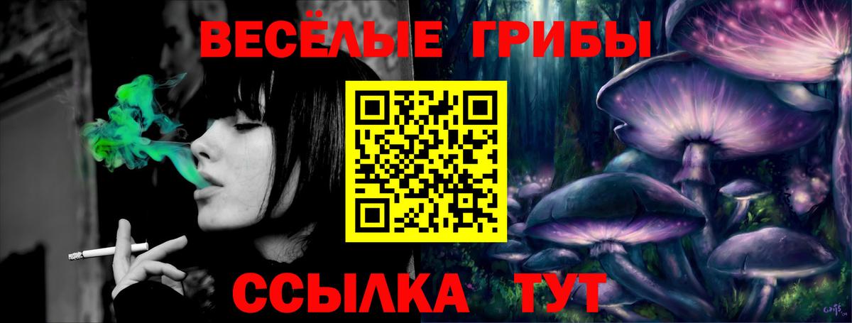 Псилоцибиновые грибы прущие грибы Новосибирск