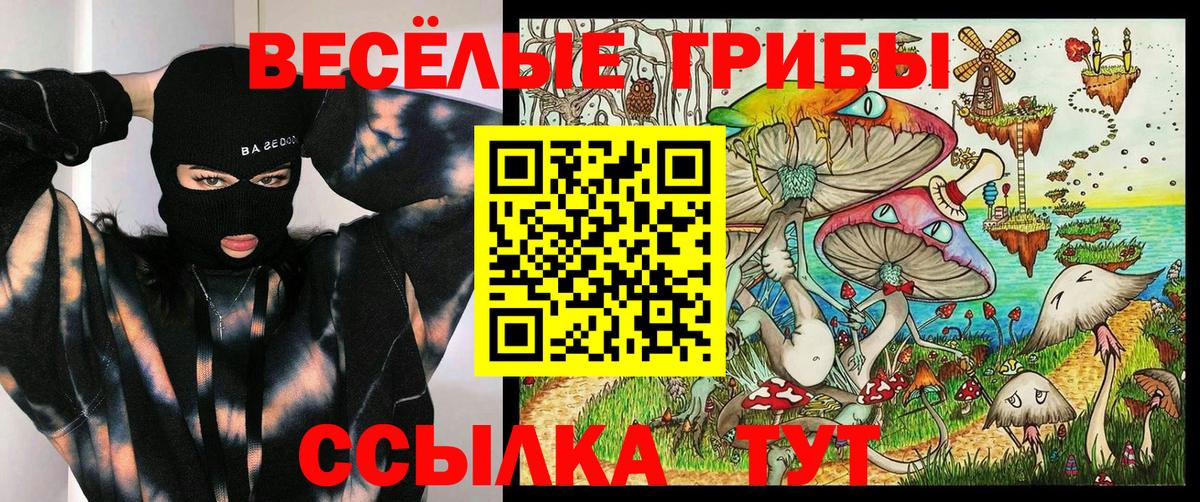 Галлюциногенные грибы мицелий Новосибирск