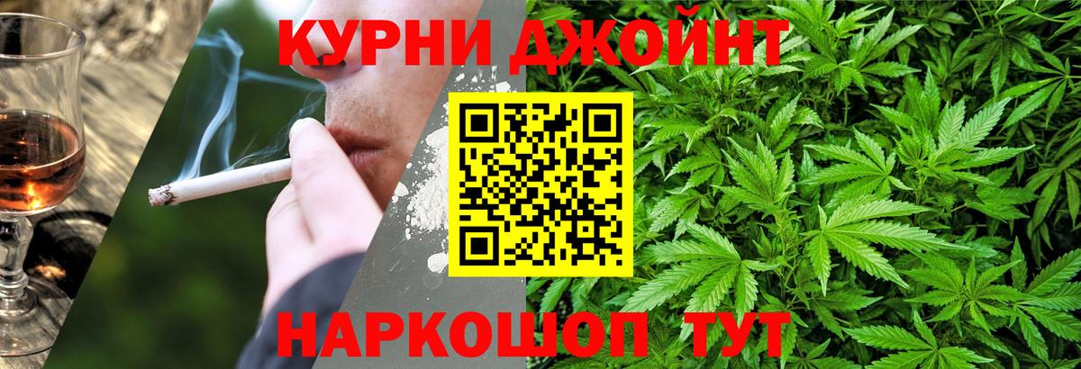 Конопля план  Конопля AK-47  Вход с VPN  Марихуана сатива  Новосибирск 